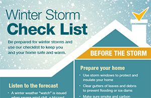 winter-storm-checklist